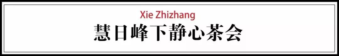 一场凌晨4点的雅聚：杭州净慈寺“慧日峰下静心茶会”